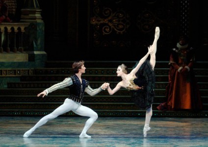 419902 Cigno nero 002